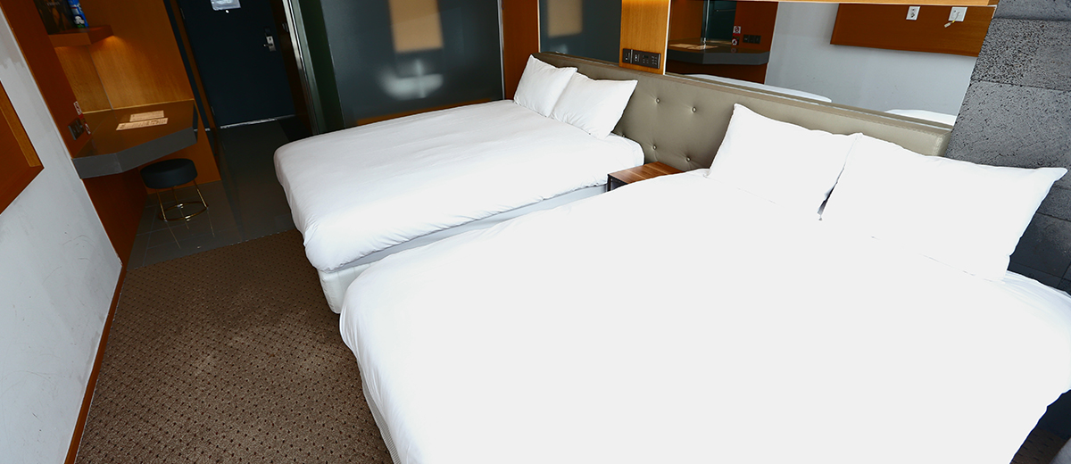 디럭스 패밀리 트윈